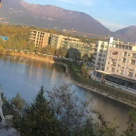 View * 티라나